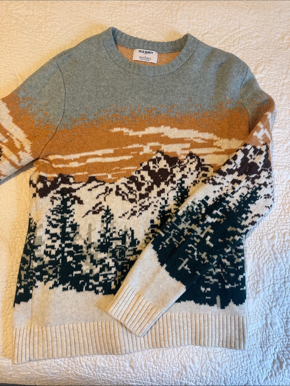 Old Navy So Soft Scenic Crewneck Sweater